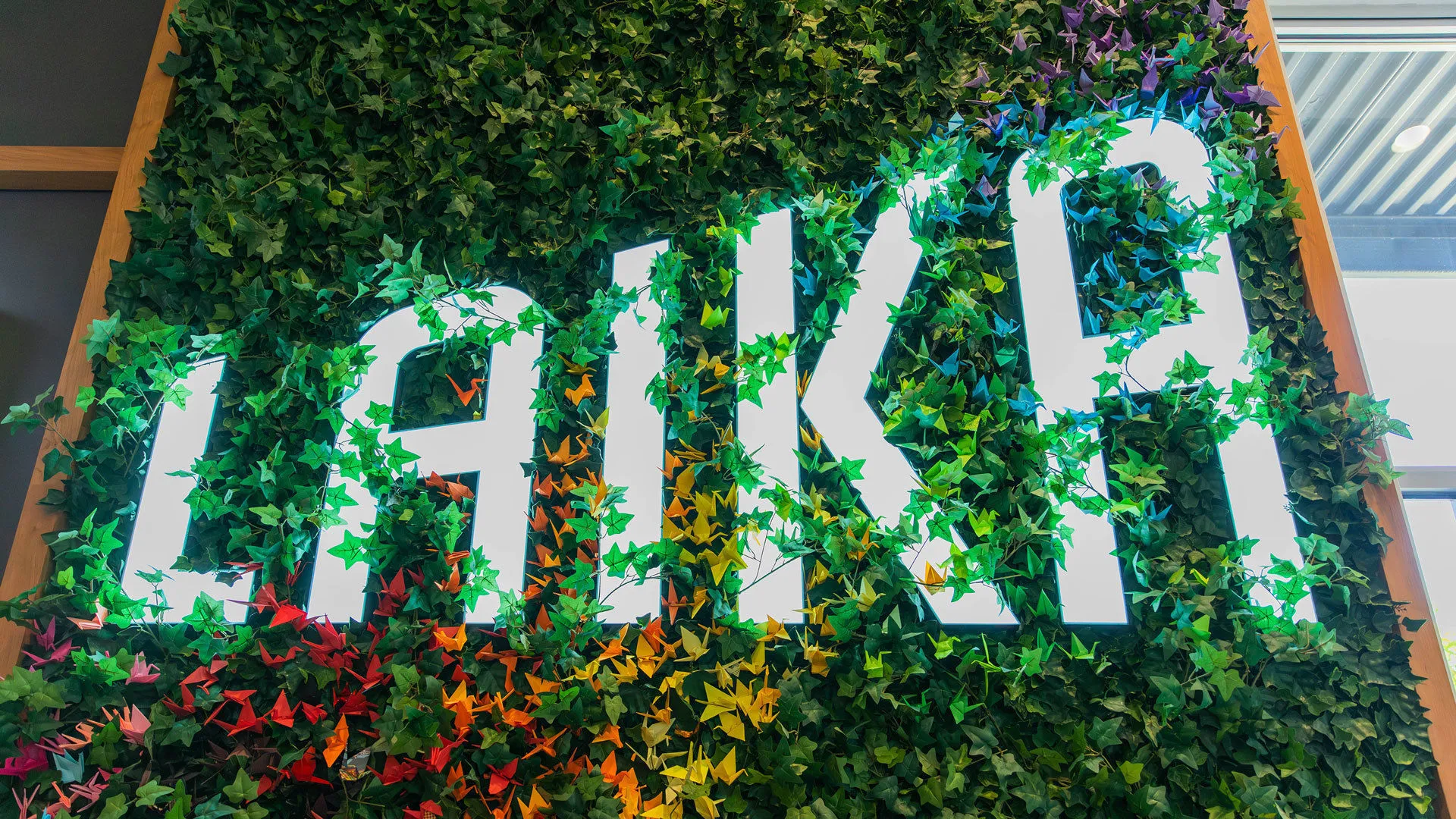 Laika ivy wall